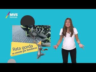 Después de 6 años, vuelven los Jonas Brothers con nueva canción