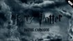 Datos Curiosos sobre Harry Potter