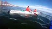 Une Baleine surgit à côté de canoes kayaks !
