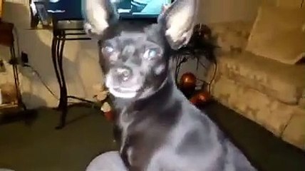 TOSHIRO SABE LO KE DEBE HACER ANTES DE IRSE.