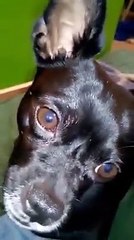 EL QUE TENGA OREJAS QUE ESCUCHE!!