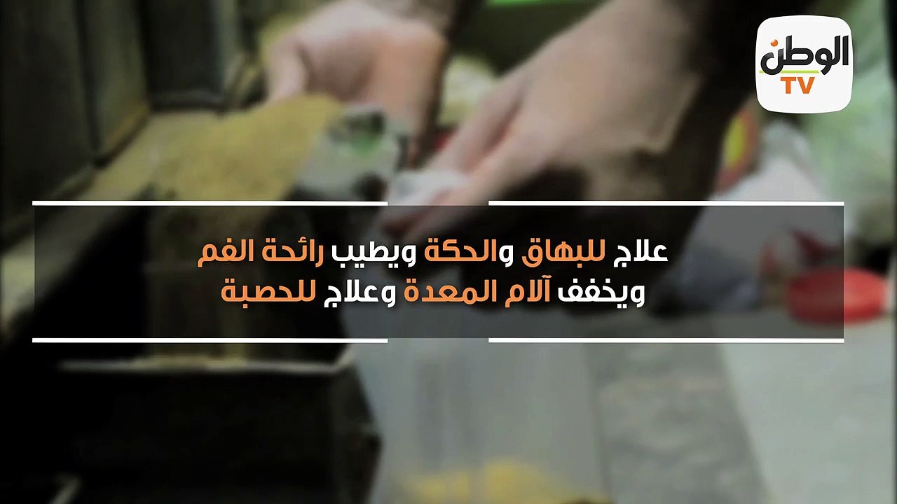 مملكة التوابل..  العصفر