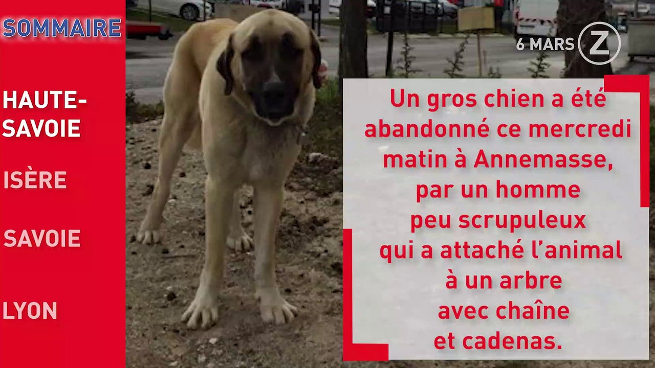Zapping de l'Info du 6 Mars 2019