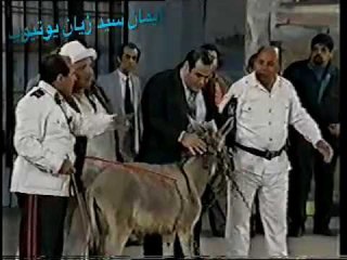 سيد زيان وكلمة  قوية في حق مصر على المسرح