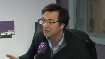 DGM FRANCK DEDIEU 03 long