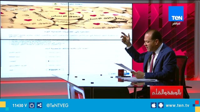 الديهي: إحذروا منظمة العفو الدولية المأجورة التي تحاول تجنيد شباب مصر ضد الدولة