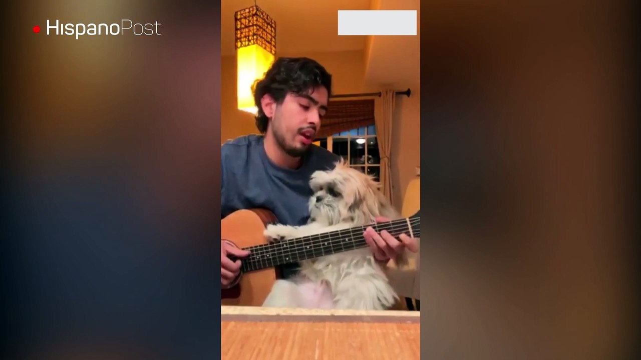 Un chico da una serenata junto a su perro y esta se vuelve viral