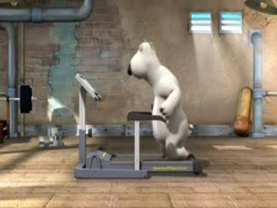 Funny Bear