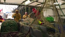 Brexit: des pêcheurs français redoutent une 