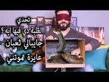 Mohamed Aamer  - تحدي ايه في الصندوق || جابتلي ثعبان بس انا مسكتش || عامر و سلمى