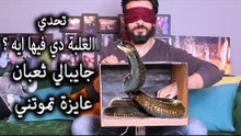 Mohamed Aamer  - تحدي ايه في الصندوق || جابتلي ثعبان بس انا مسكتش || عامر و سلمى