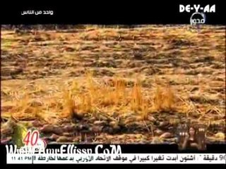 واحد من الناس   شكوى قرية ابو بسبسة محافظة الاسكندرية