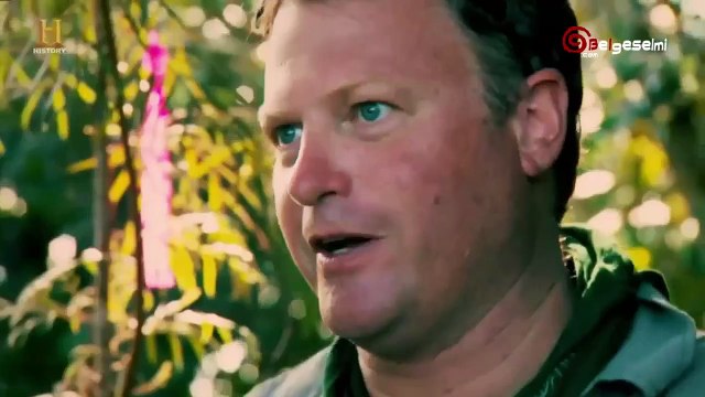 TAPINAK ŞOVALYELERİ KAYIP HAZİNE - Hazine Adası