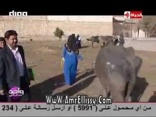 #واحد من الناس | توزيع 50 راس ماشية في بني سويف | مع د.عمرو الليثي