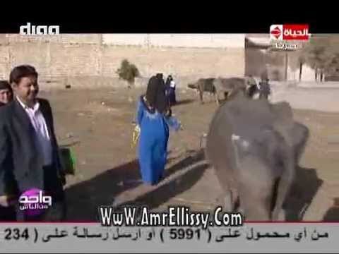 #واحد من الناس | توزيع 50 راس ماشية في بني سويف | مع د.عمرو الليثي