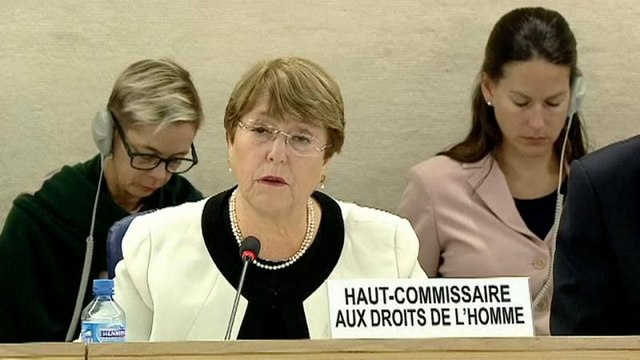 ООН встала на защиту жёлтых жилетов