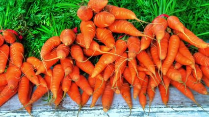 BENEFICIOS DE LA ZANAHORIA