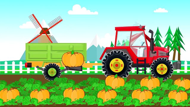 The TRACTOR and pumpkin harvesting | Farm Vehicle Video for Toddler Kids | Bajka TRAKTOR