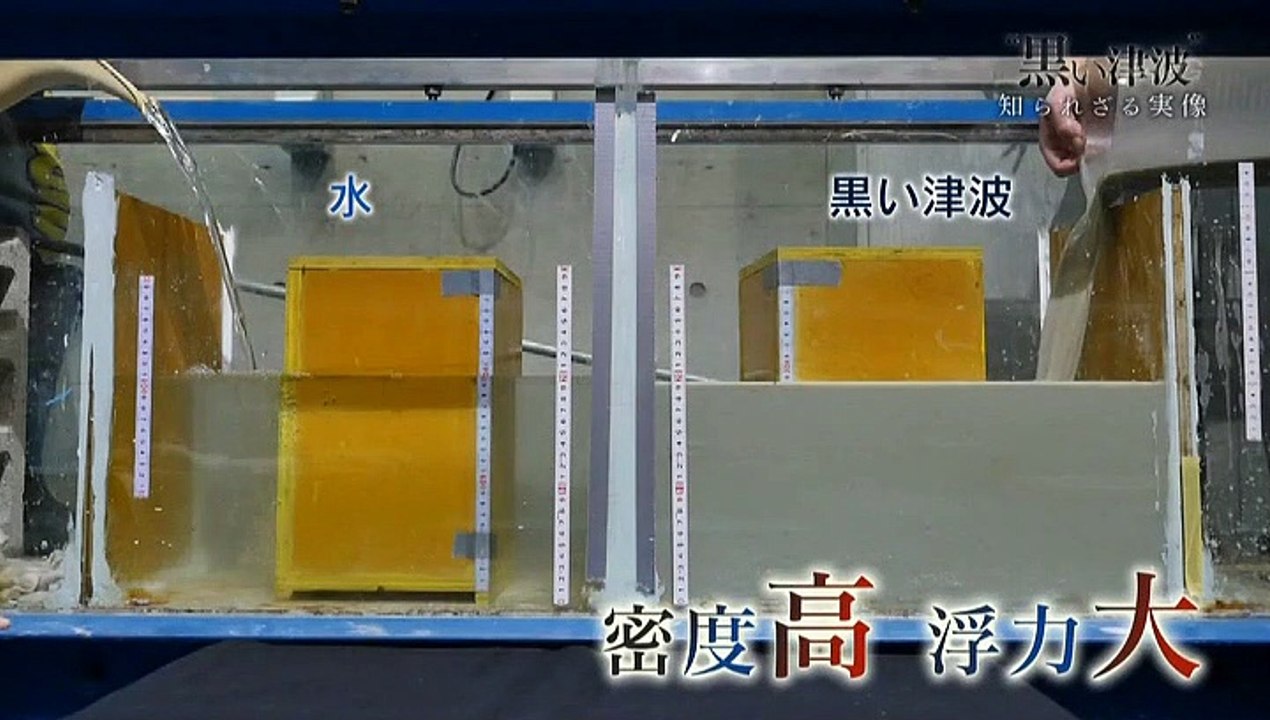黒い津波知られざる実像20190303