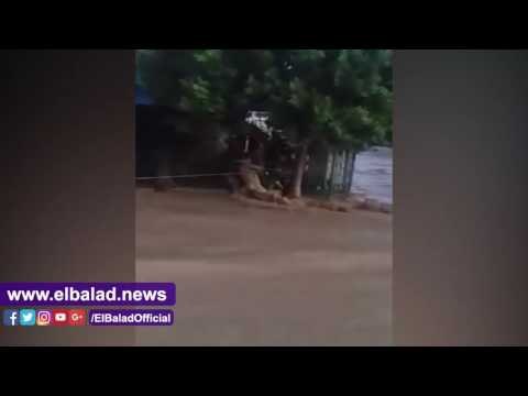 صدى البلد | شجره تنقذ شاب من سيل راس غارب ويتمسك بها 6 ساعات
