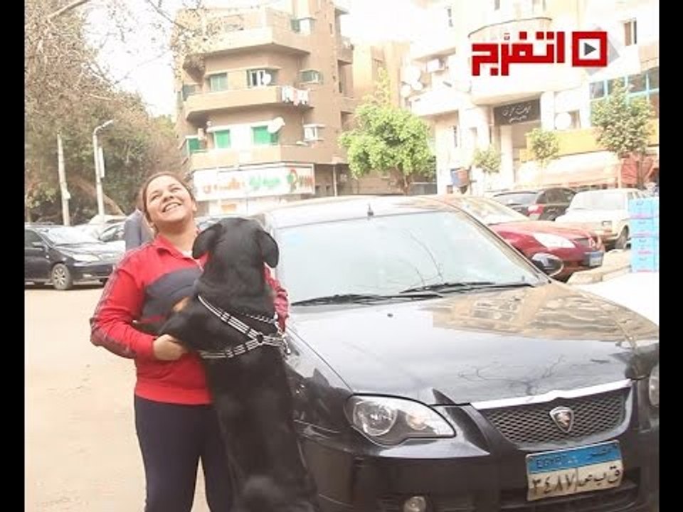 اتفرج | تعرف الراقص مع الكلاب ؟  .... لأ اعرف ارقص القرد