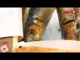 اتفرج| اسعار الأسماك في شم النسيم
