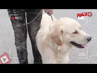 اتفرج | صاحبك عندك أيه ؟