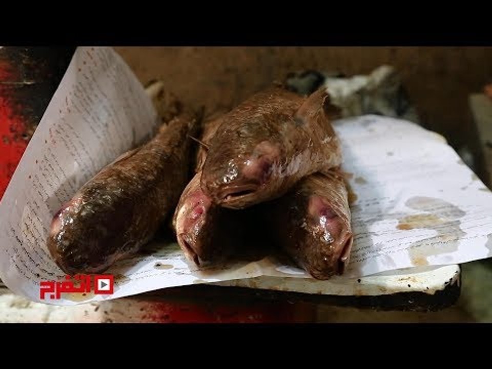 اتفرج | أكل الفسيخ له أصول..و صنعة لازم تعرفها