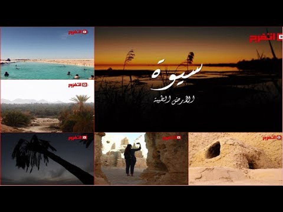 اتفرج | رأس السنة من «الأرض الطيبة»