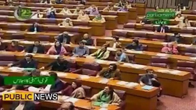 شکور شاد نر کا بچہ ہے. اسد عمر - تو - بلاول زرداری کس کا بچہ ہوا -