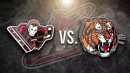 WHL Calgary Hitmen at Medicine Hat Tigers