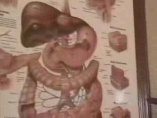 funny Video 610 (www.imblukor.com)