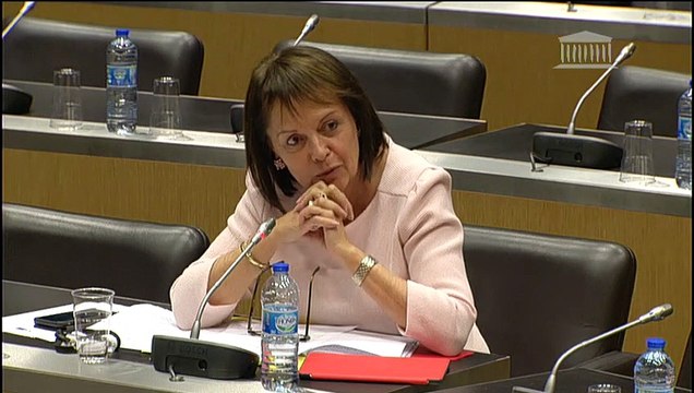 Commission d'enquête sur les moyens des forces de sécurité : Auditions diverses - Mercredi 6 mars 2019