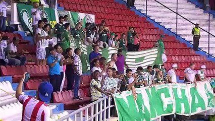 Junior vs Palmeiras: Match Highlights ⚽