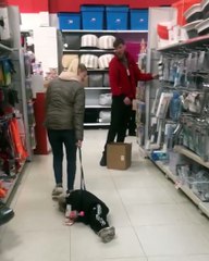 Pire bêtises d'enfants... Meilleure compilation !