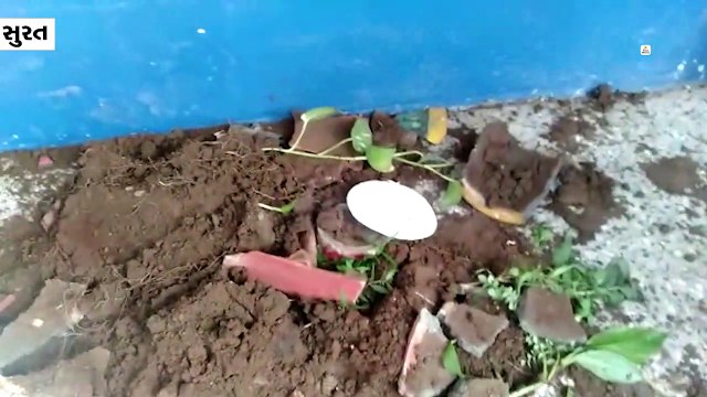 સુરતમાં 54 સ્ટુડન્ટ ધો.10-12 બોર્ડની પરીક્ષા ન આપી શક્યા, સ્કૂલમાં તોડફોડ કરી