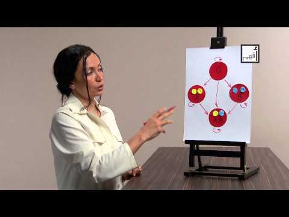 Alyaa Gad - Blood Groups فصائل الدم