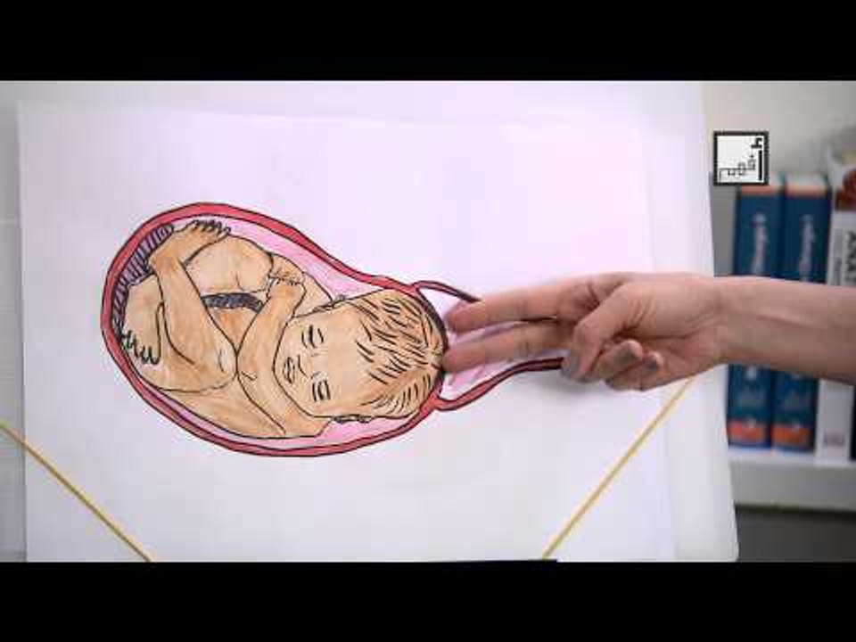 Alyaa Gad - Vaginal Birth مراحل الولادة الطبيعية