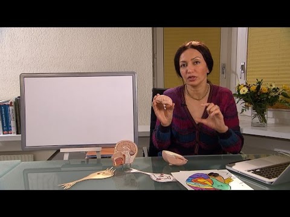 Alyaa Gad - نوبات الصرع (عرض للمرضى) Epilepsy Seizures