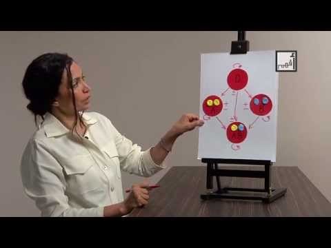 Alyaa Gad - Blood Types