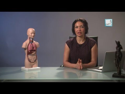 Alyaa Gad - Endocrine Glands الغدد الصماء والهرمونات