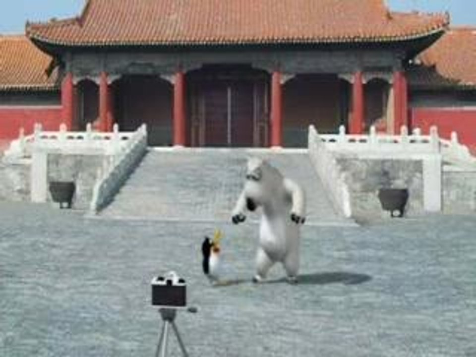 Funny bear 2
