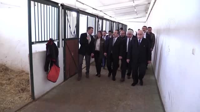 Sanayi ve Teknoloji Bakanı Varank, Hipoterapi Uygulama ve Araştırma Merkezi'ni Ziyaret Etti