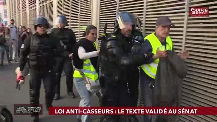 Tour d'horizon de l'actualité du Sénat et de l'actualité du jour. - Territoire Sénat (07/03/2019)