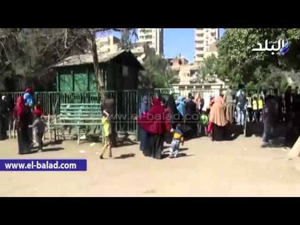 زحام في حديقة حيوان الفيوم حول بيت الأسد والجمل الجبلي