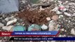 PKK’nın tuzakladığı patlayıcı imha edildi