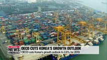 OECD cuts S. Korea's growth outlook to 2.6% for 2019