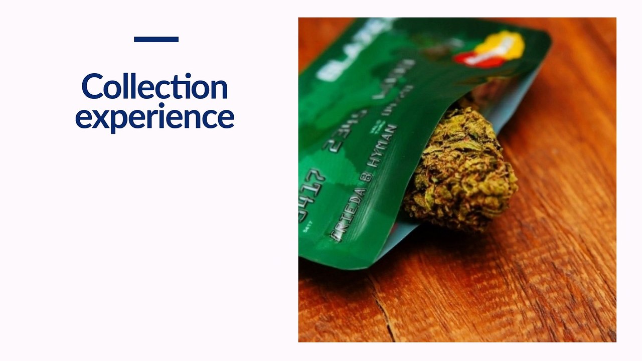 Cannabis Collection Services | CannaBIZ Collects