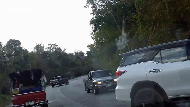 Terrified couple hide as elephant raids their car in Thailand