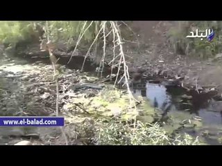 مزارعو الشرقية تعقيبا علي انسداد الترع والمصارف بيوتنا هتنخرب وكفاية مفيش سماد.‎